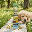 Coconut Vitamin Water for Dogs — Chamomile Flavor Drink (Calming Support)